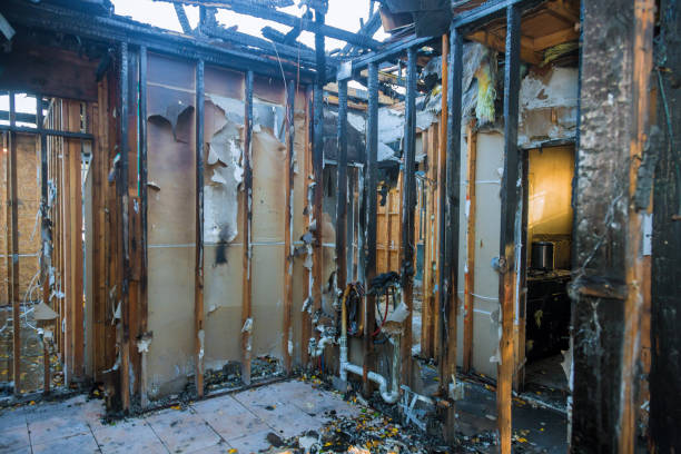 Professional Fire Damage Restoration technician working in Elmo, TX